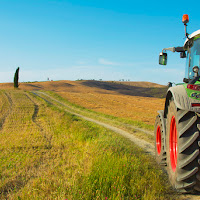 Estate nelle crete senesi di 