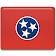 Tennessee Traffic Cameras icon