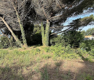 terrain à Noirmoutier-en-l'Ile (85)