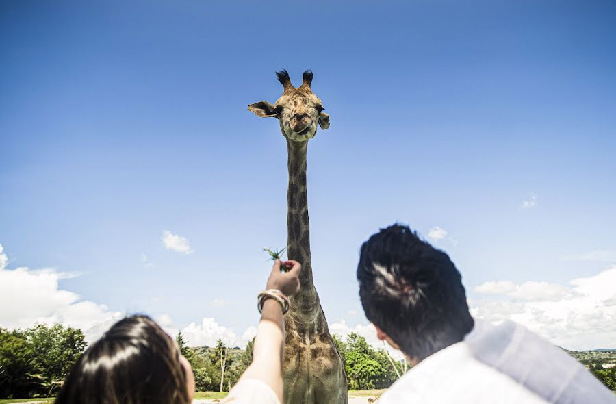 Fotografo di matrimoni Elena Flexas (elenaflexas). Foto del 15 agosto 2022