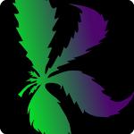 Cover Image of Download Kushy - Cannabis Directory & Dispensary Info 2.23 APK