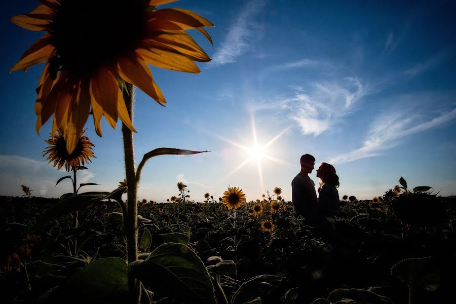 Fotógrafo de bodas Aleksey Krupica (krupitsaalex). Foto del 13 de agosto 2018