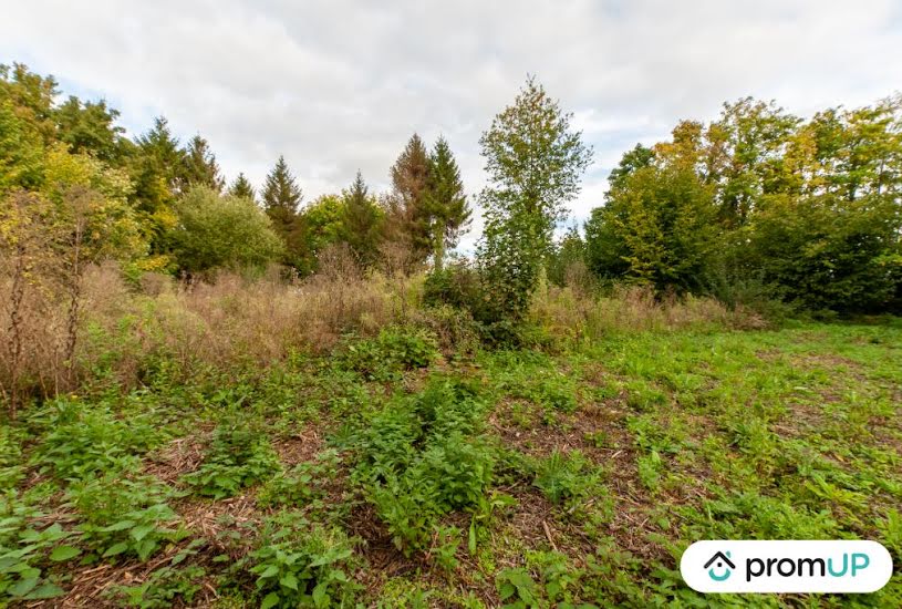  Vente Terrain à bâtir - à Drubec (14130) 