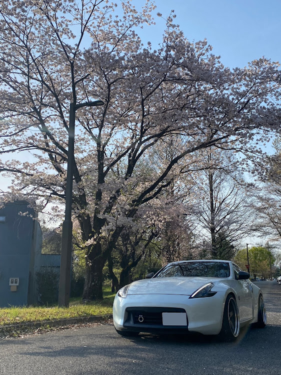 フェアレディZの桜・サクラと愛車・桜とコラボ・桜コラボ・本日誕生日に関するカスタム事例の投稿画像1枚目
