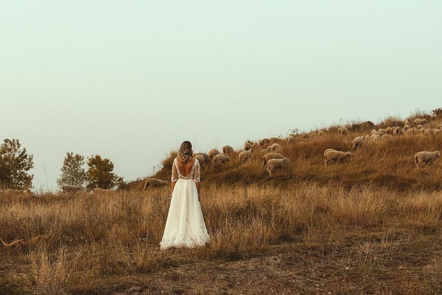 Wedding photographer Nikola Segan (nikolasegan). Photo of 29 October 2021