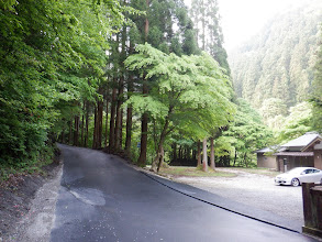 真新しい舗装路