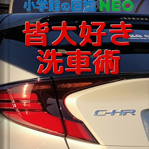 C-HR ZYX10