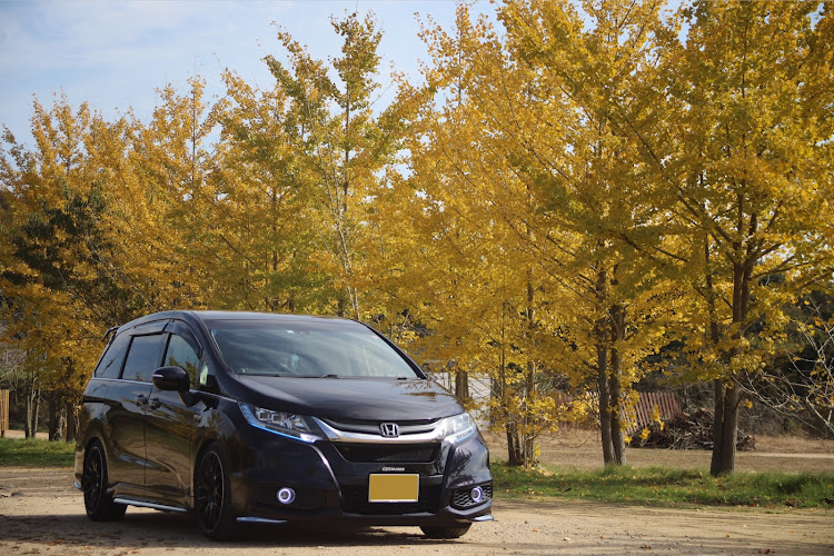 オデッセイの赤と紅と黄は秋の象徴色・黄色と聞いたらなんか変な物を思い出したぞ・あーパンツ…じゃなかった短パンか・私が黄色と聞いて思い浮かべたものは下ネタになってたな・まぁ私はフォグが黄色なんですけどwに関するカスタム事例の投稿画像1枚目
