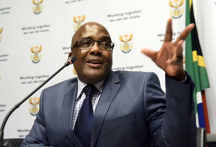 Home affairs minister Aaron Motsoaledi. File picture