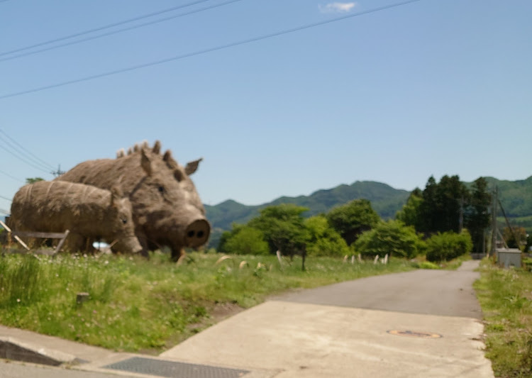 の投稿画像3枚目