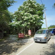 南庄高山青農場