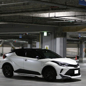 C-HR ZYX11