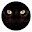 Black cat pop animal HD new tab page theme