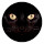 Black cat pop animal HD new tab page theme