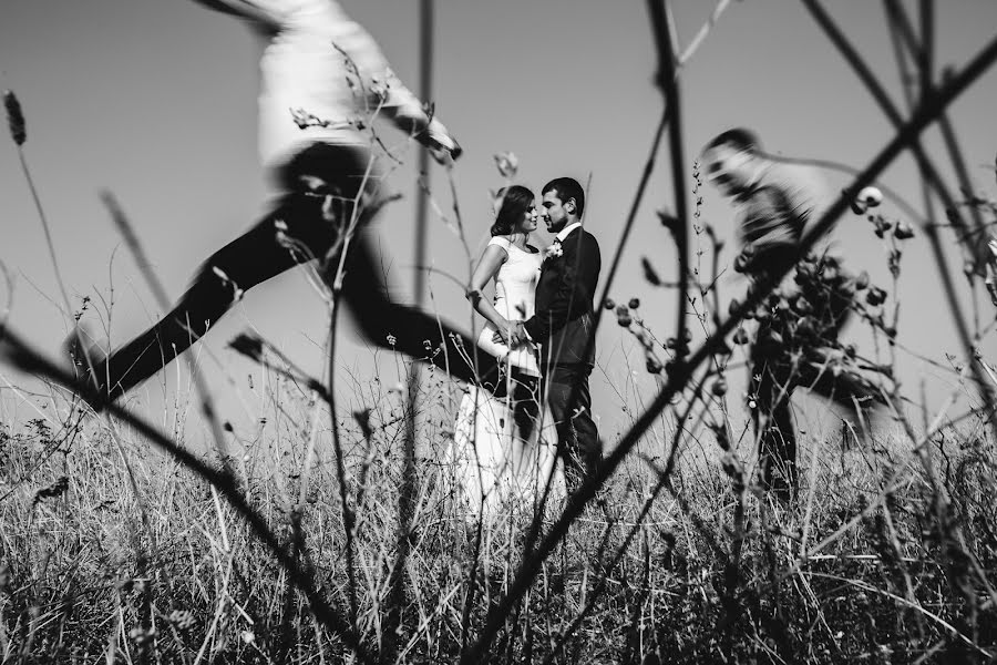 Fotógrafo de casamento Viktoriya Kapaeva (vikos26). Foto de 17 de setembro 2017