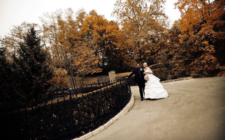 Photographe de mariage Mitja Železnikar (zeleznikar). Photo du 15 mars 2016