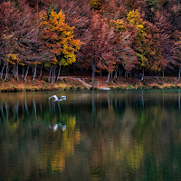 autunno al lago di 