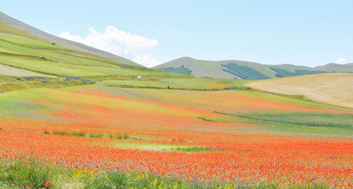 Un tocco di colore... di giadaut