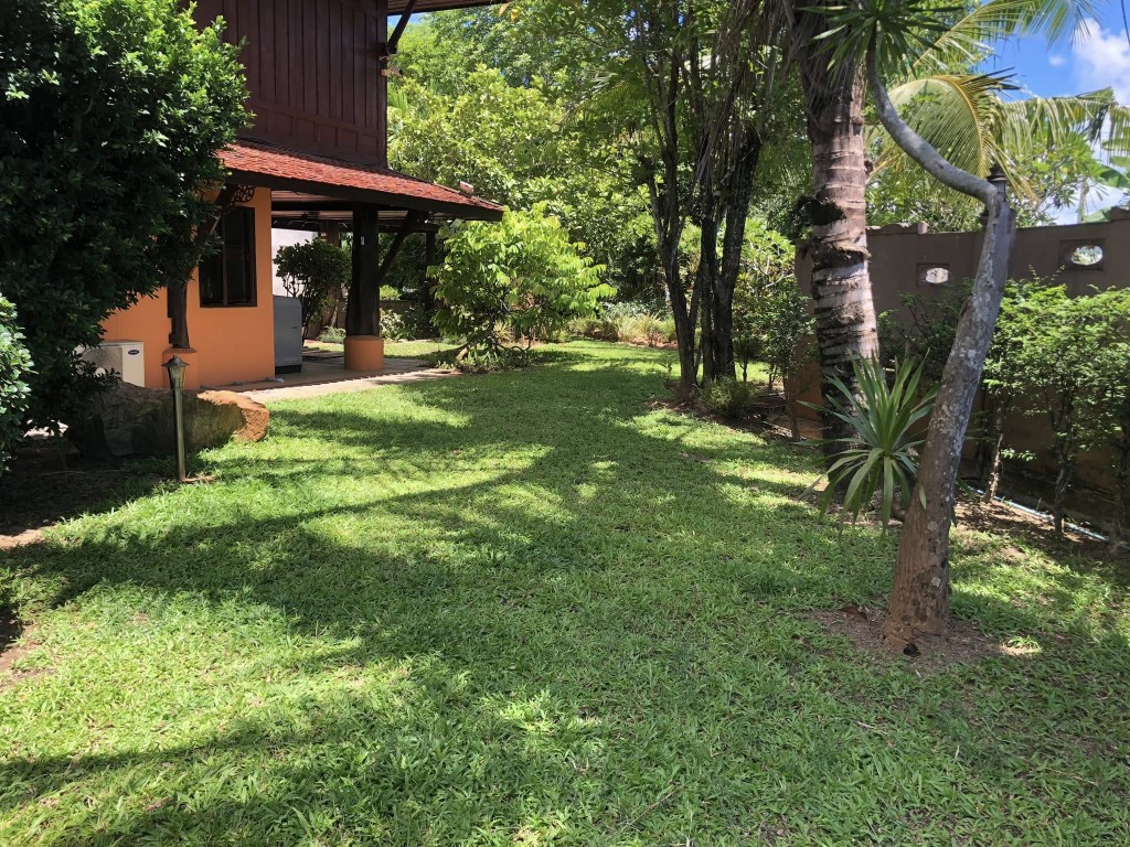 Image 13