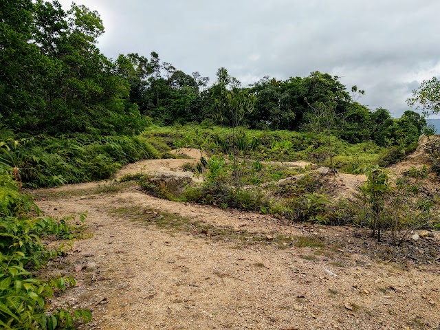 Bukit Bal Viewpoint