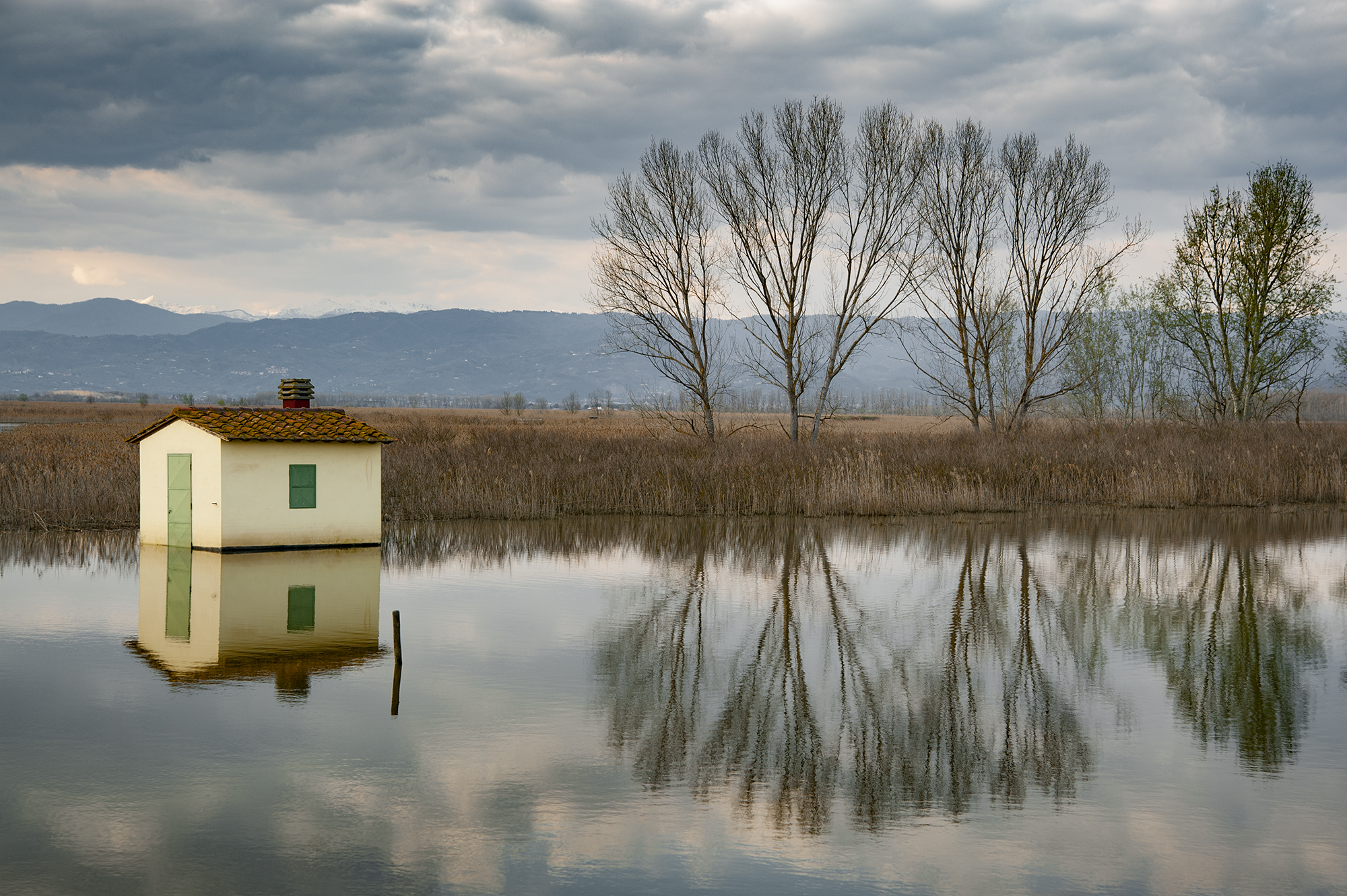 Padule di Fucecchio