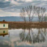 Padule di Fucecchio