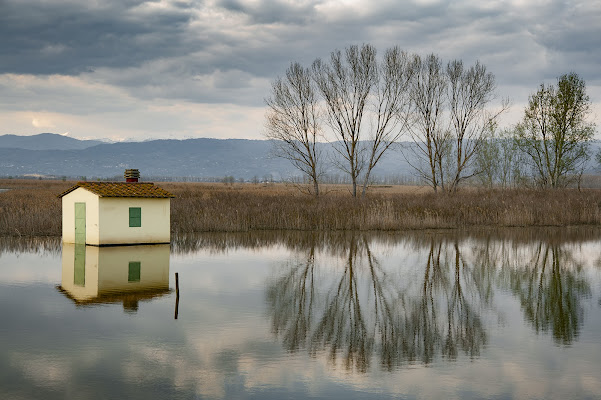 Padule di Fucecchio