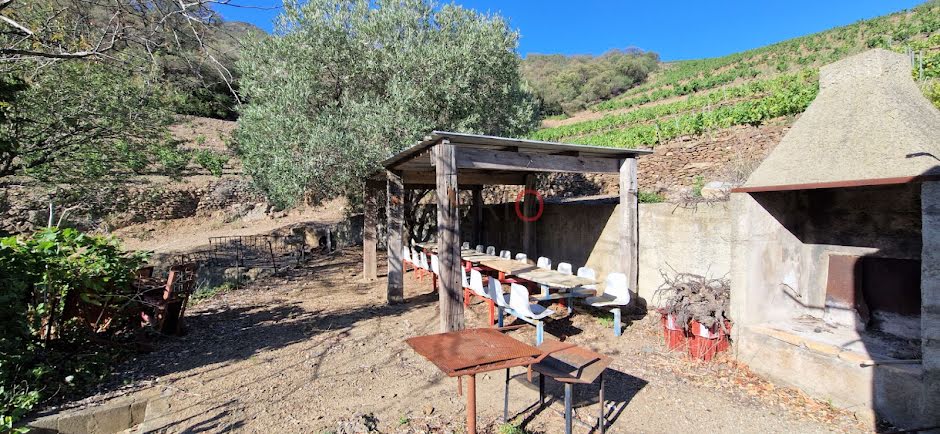 Vente terrain  41819 m² à Collioure (66190), 197 000 €