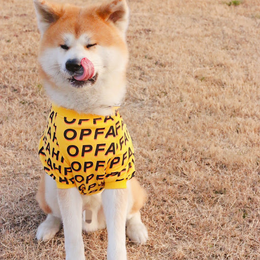 Title 3, Fashion Simple Pet Letter Print T-shirt for dog...