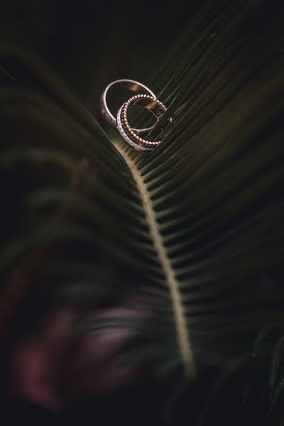 Fotografer pernikahan Uldis Lapins (uldislapins). Foto tanggal 7 Januari 2019