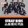 Stray Kids Offline  icon