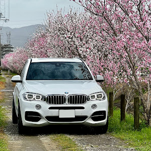 X5 xDrive 35d