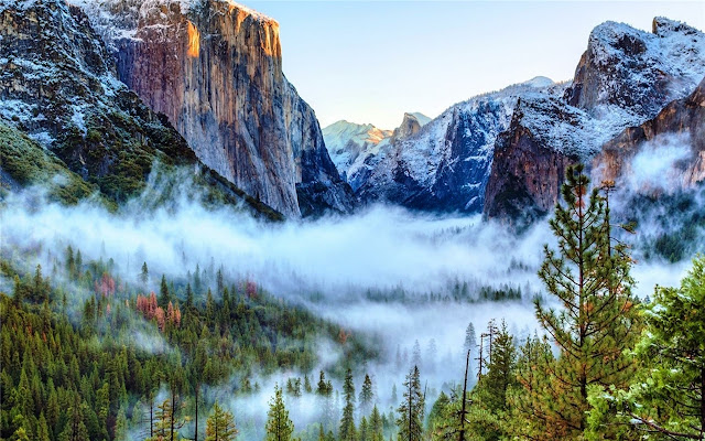 Yosemite National Park Themes & New Tab