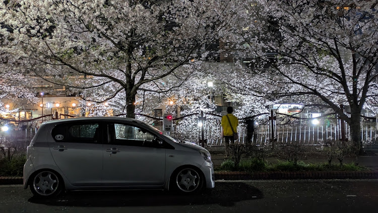 ミライースの桜と愛車・夜桜・夜桜と愛車に関するカスタム事例の投稿画像4枚目