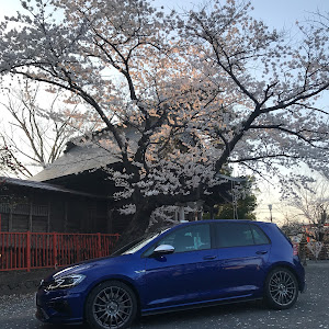 ゴルフ R