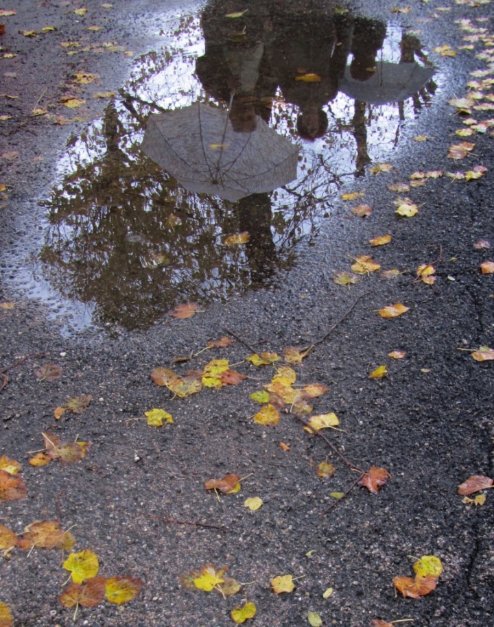 Riflessi...oni d'autunno di Carmelo Vecchio