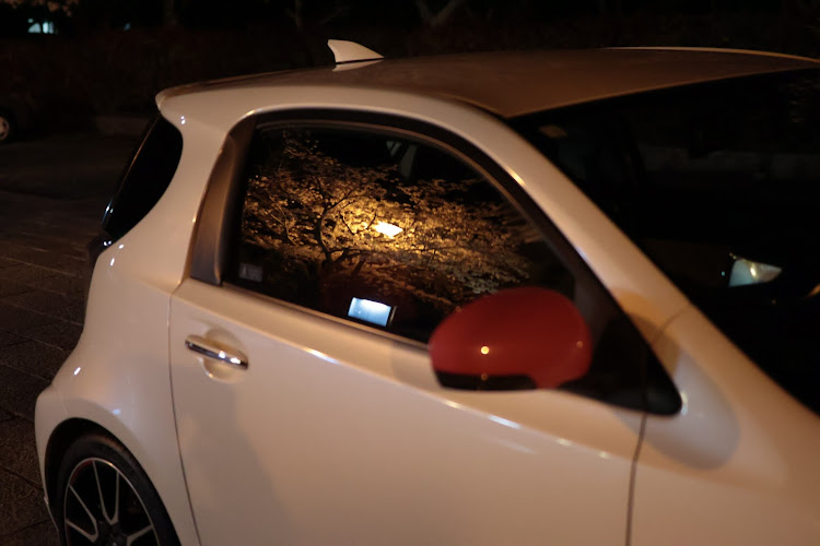 iQの4月もよろしくお願いします・サクラと愛車・下手くそカメラマン・夜桜と愛車に関するカスタム事例の投稿画像6枚目