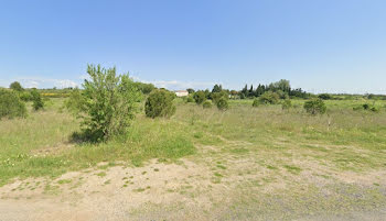 terrain à Ferrals-les-Corbières (11)