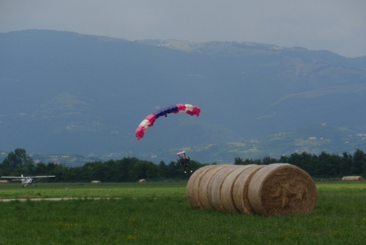 Volare di veronika