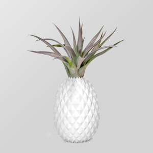 White ceramic pineapple pot showcasing an air plant photo