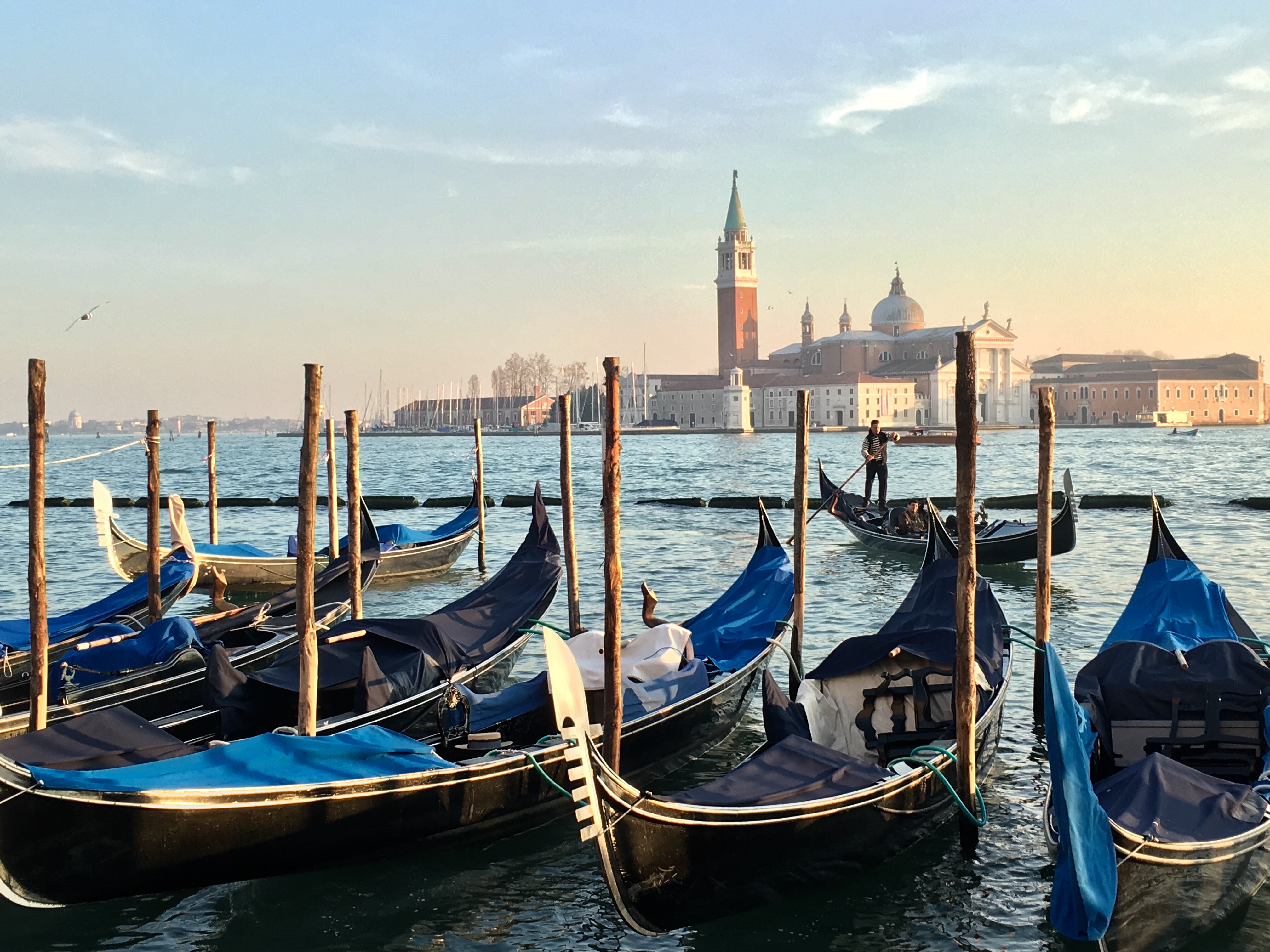 Tra le gondole veneziane di Silviadn