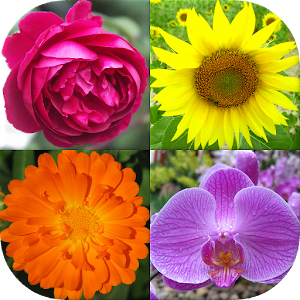 Download Flowers Quiz: Beautiful Plants For PC Windows and Mac