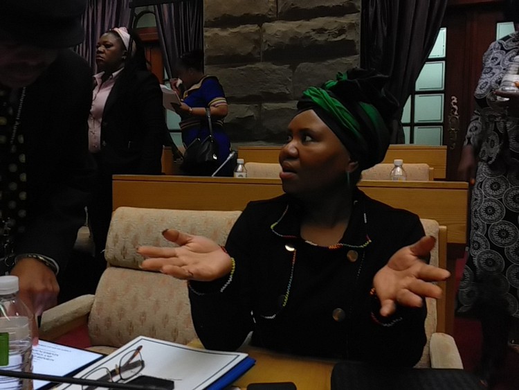 Minister of social development Lindiwe Zulu presented to parliament on Wednesday.