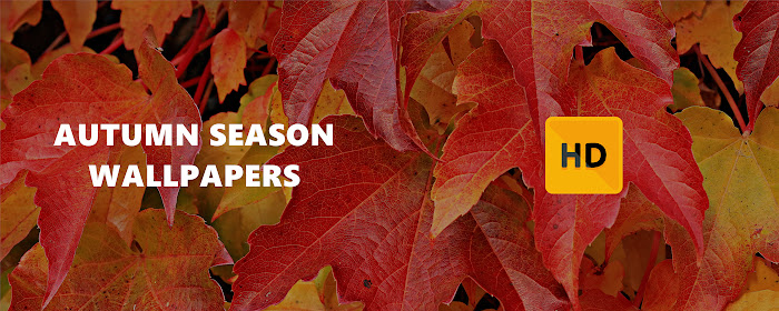 Autumn Season Wallpaper HD New Tab Theme marquee promo image