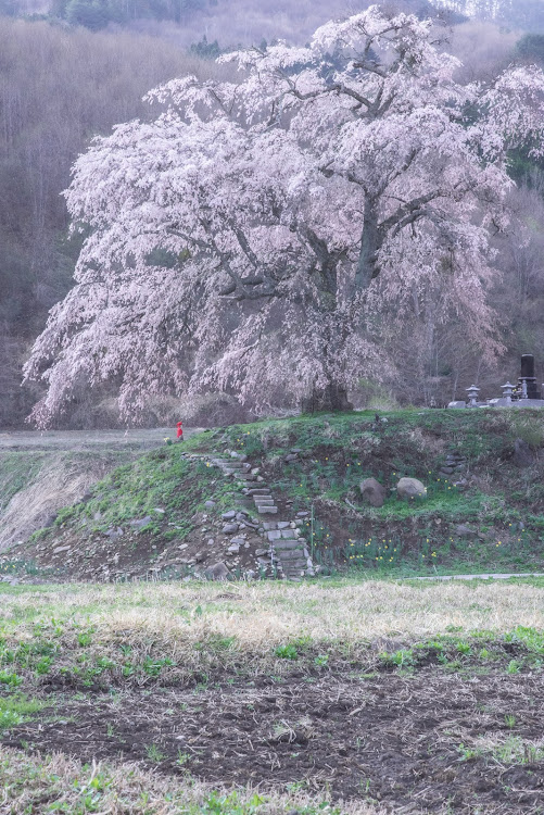 の投稿画像4枚目