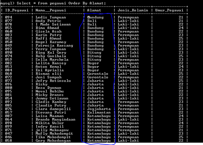 C:\Users\Aras\Documents\Tugas semester 1\Basis data\Tugas besar\7 Like, Order by, Grup By, Asc, Des\Order By\Order by 4.PNG