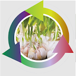 Cover Image of Tải xuống Garlic Farmers Success 2.0 APK