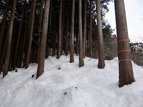 雪は十分多く