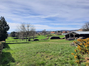 terrain à Saint-Mamet-la-Salvetat (15)