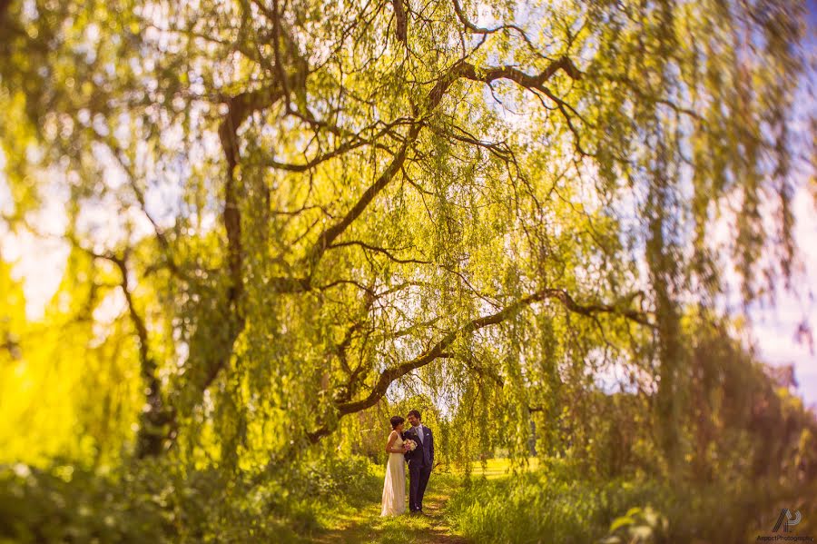 Wedding photographer Shane O Neill (aspect). Photo of 20 July 2014